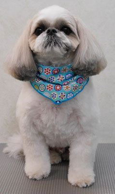 飯田シシマルちゃん