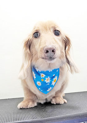 前薗パルちゃん