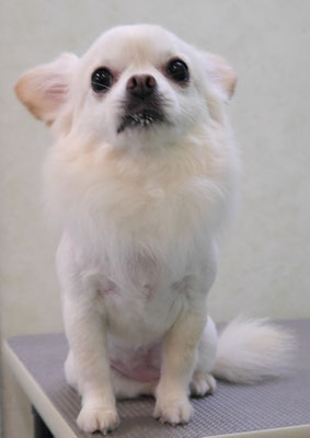 森崎ヒメちゃん