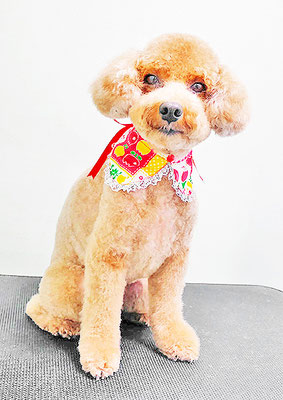 山小田チコちゃん