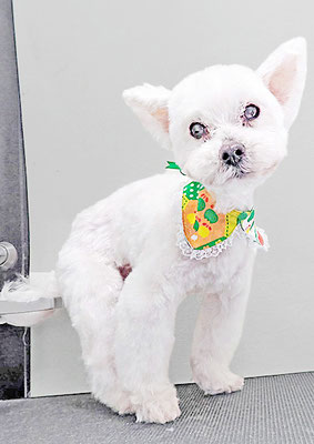 福元ミルクちゃん