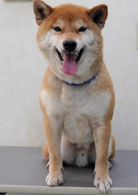 大田ソラちゃん