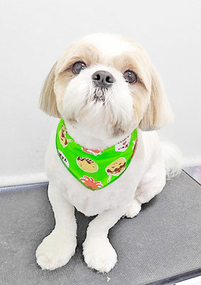 榊原もちちゃん