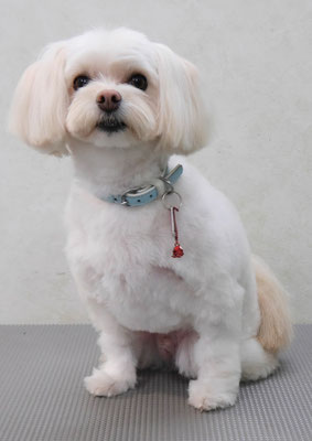 大脇ココアちゃん