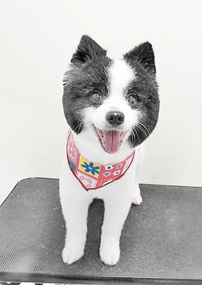 八木マリアンちゃん