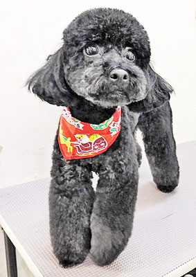 野口サニーちゃん