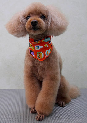 平松クーちゃん