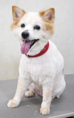 松木チャコちゃん