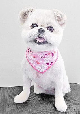 太崎ちゅらちゃん