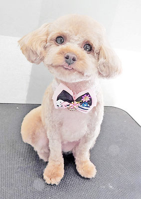 岩元ナノちゃん