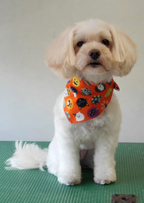 濱島クレアちゃん