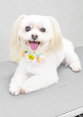 大脇ココアちゃん