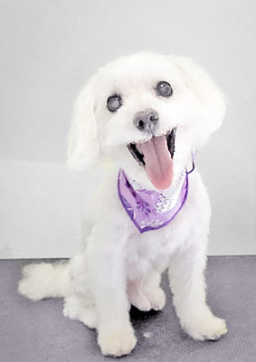 山口ふうたちゃん