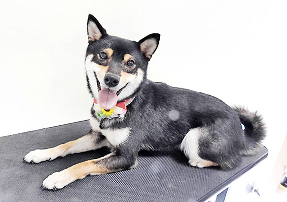 西元風子ちゃん