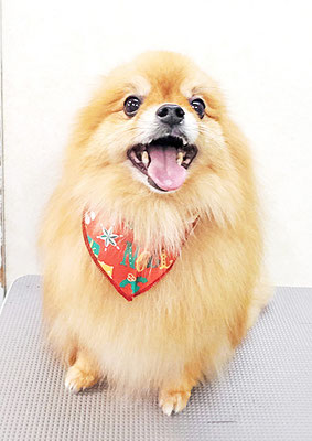 大井ポンタちゃん