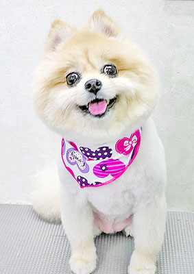 西堂ココちゃん