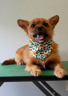 助村るぅちゃん