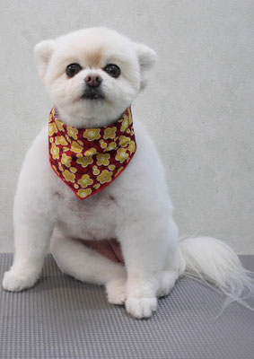 千葉チビちゃん