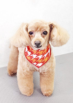 森崎ネネちゃん