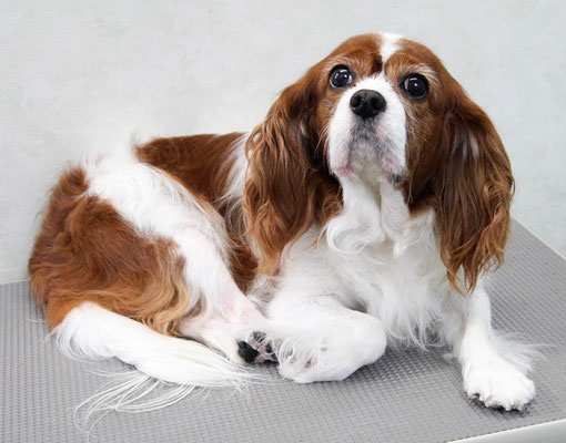 福留ジルちゃん