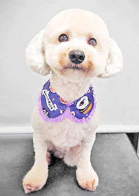 有村ルークちゃん