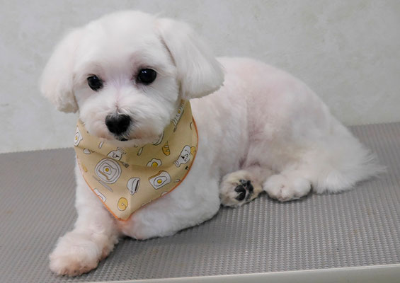 山口フウタちゃん