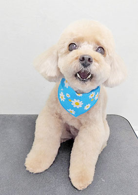 鎌田ミントちゃん