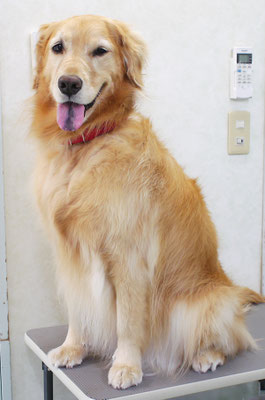 菊川チェリーちゃん