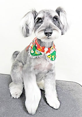 糸山そらちゃん