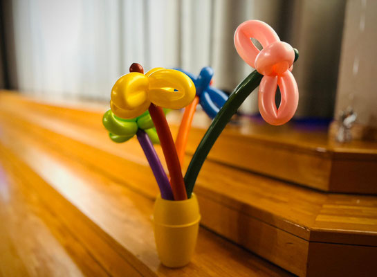 MARTINI'S BALLONBLUMEN