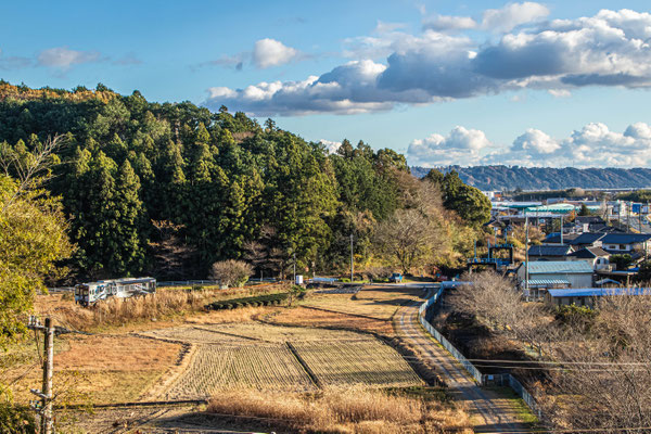 寒さ厳しき冬