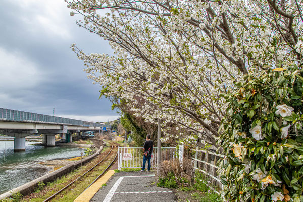 浜名湖佐久米駅(1)