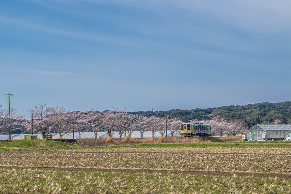 遠江一宮駅 (2)