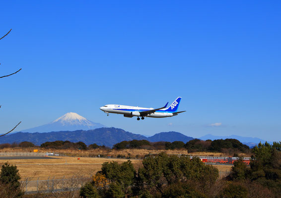 ANA(着陸態勢)