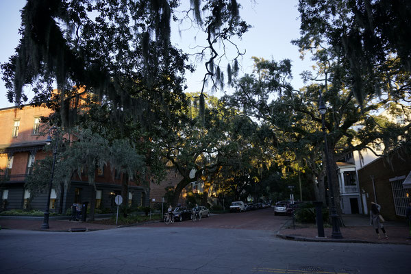 Savannah city
