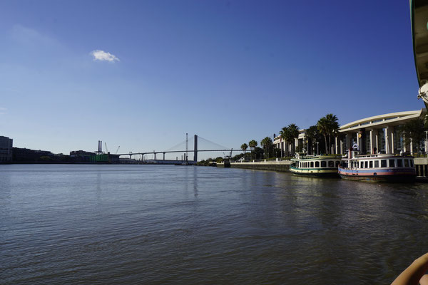 Savannah city