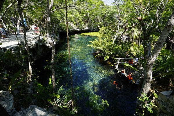 Cenote Niche-Ha