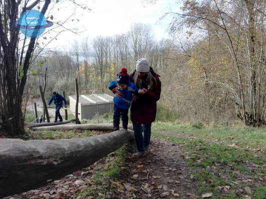 Kletterparcours Center Park Bostalsee (c) maximalplanet