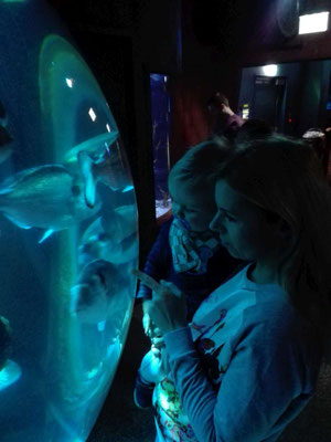 Sea Life Speyer (c) maximalplanet.com 2017