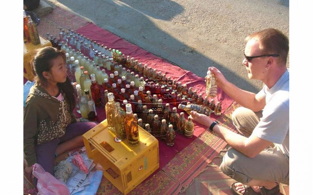 In Alkohol eingelegte Schlagen und Skorpione auf dem Markt in Luang Prabang