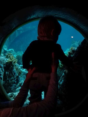 Sea Life Speyer (c) maximalplanet.com 2017
