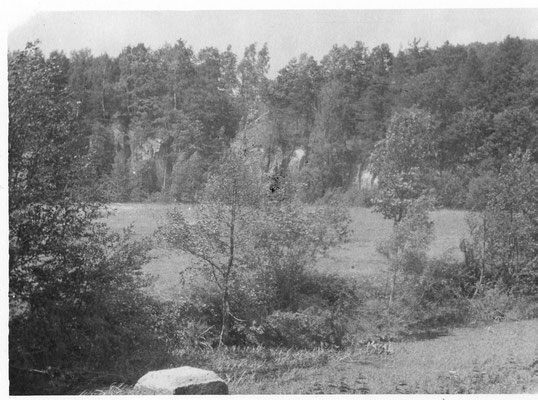 Blick auf den Park 1975