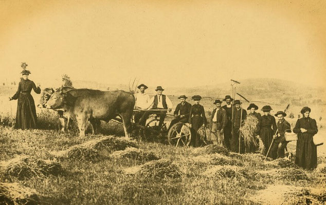 Dans les environs de Pierrefort en 1886