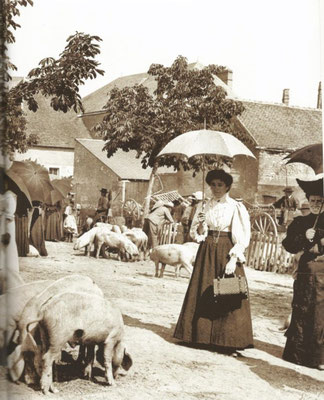Foire aux cochons dans le Cantal en 1903