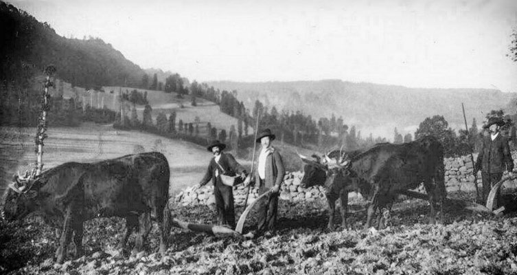Le Labour dans le Cantal en 1900