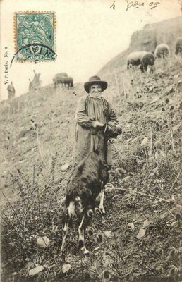 Un berger en 1905