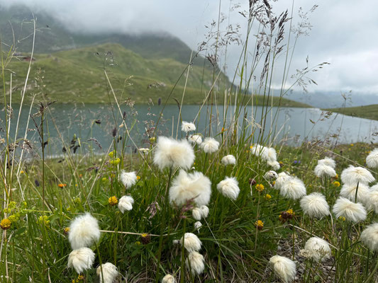 Umgebung rund um Tux im Zillertal