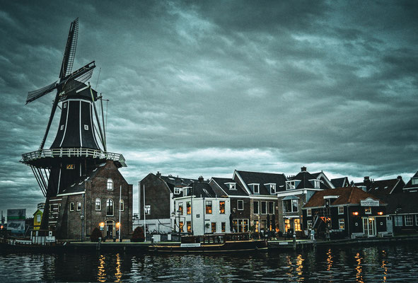 Olanda - 2014