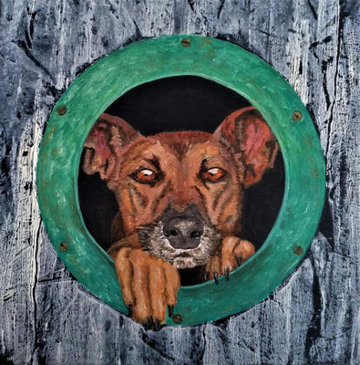 Treue Begleiter