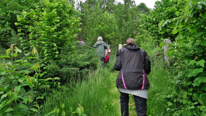 mit Rasseln und frischen Kräutern betreten wir den Ritualgarten